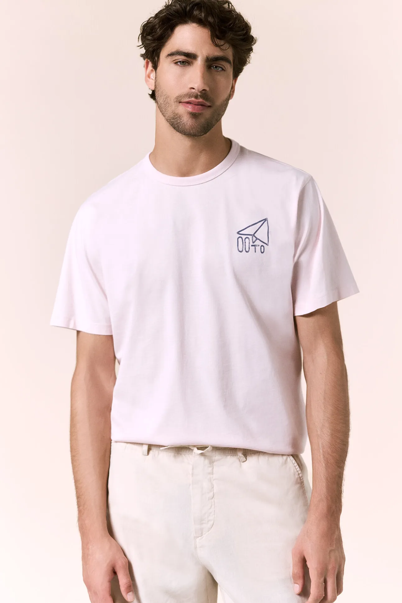 Camiseta avión pequeño