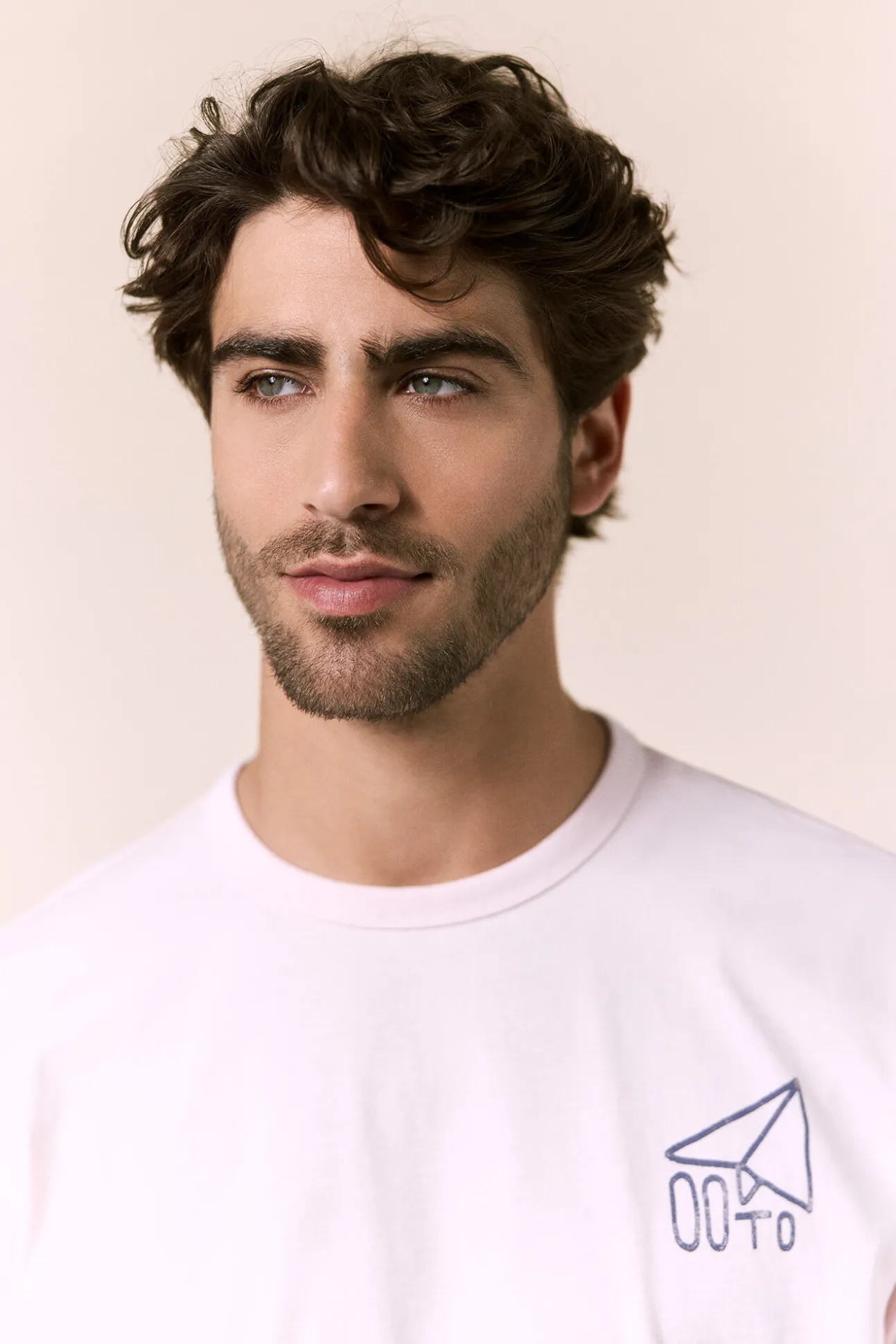 Camiseta avión pequeño