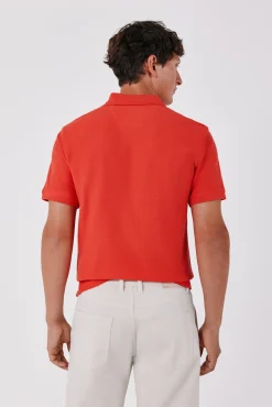 Polo estructura