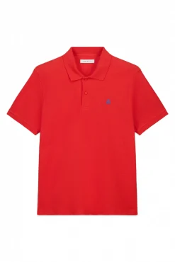 Polo estructura