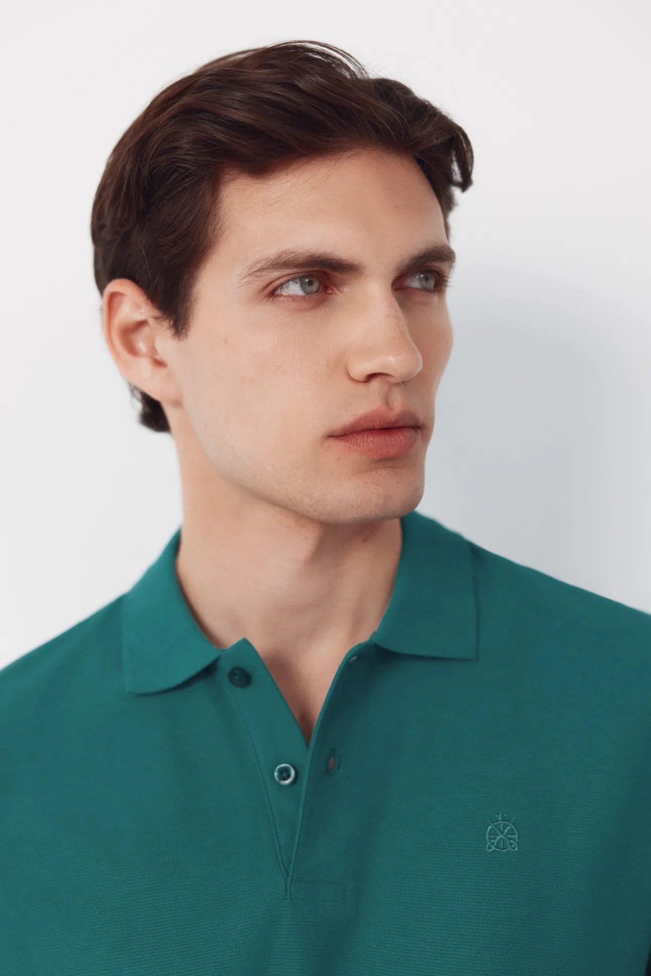 Polo estructura