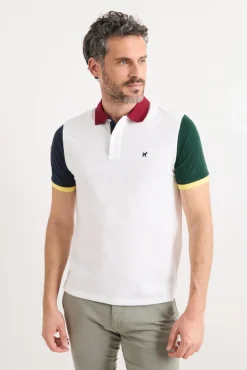 Polo Tricolor
